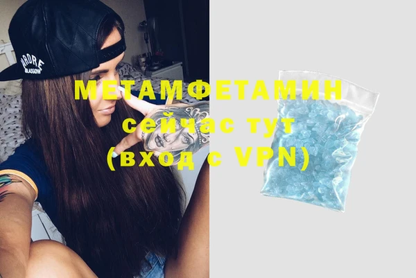 шишки Осинники