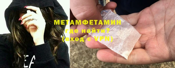шишки Осинники