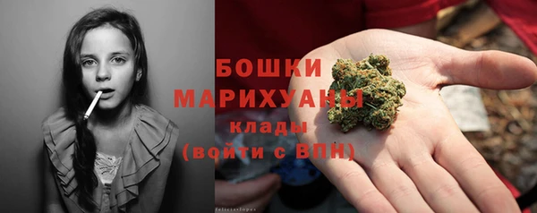шишки Осинники