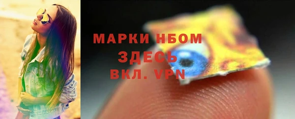 шишки Осинники
