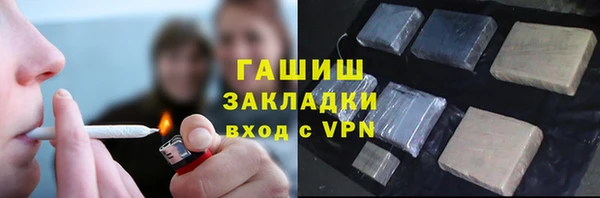 шишки Осинники