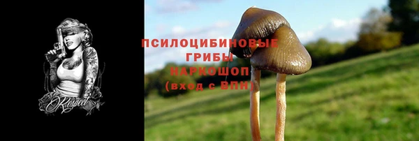 меф Осташков