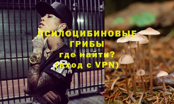 ECSTASY Нязепетровск