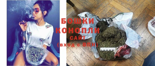шишки Осинники