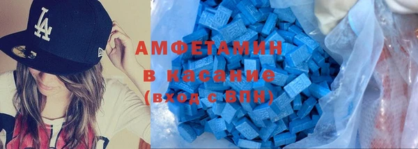 шишки Осинники