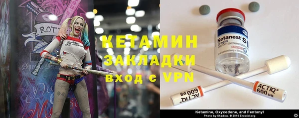 шишки Осинники